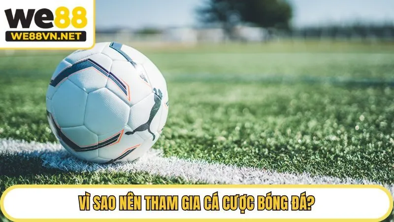Vì sao nên tham gia cá cược bóng đá