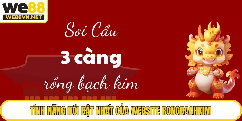 Tính năng nổi bật nhất của website Rongbachkim
